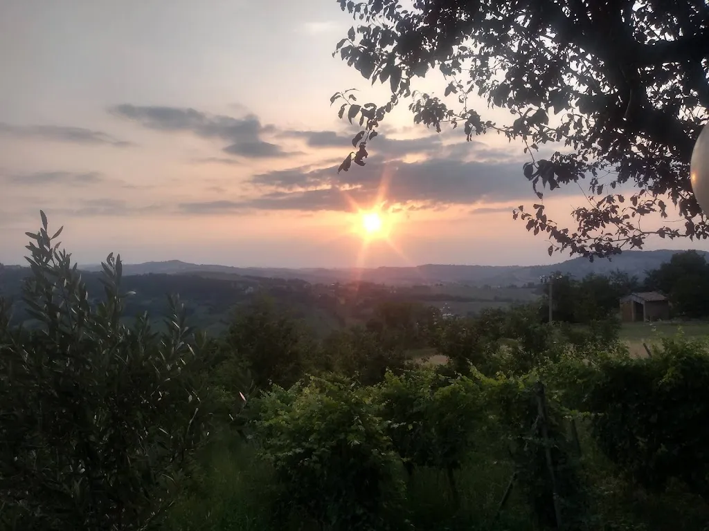 David Birri_Agriturismo Villa Baroni_Vernasca_review