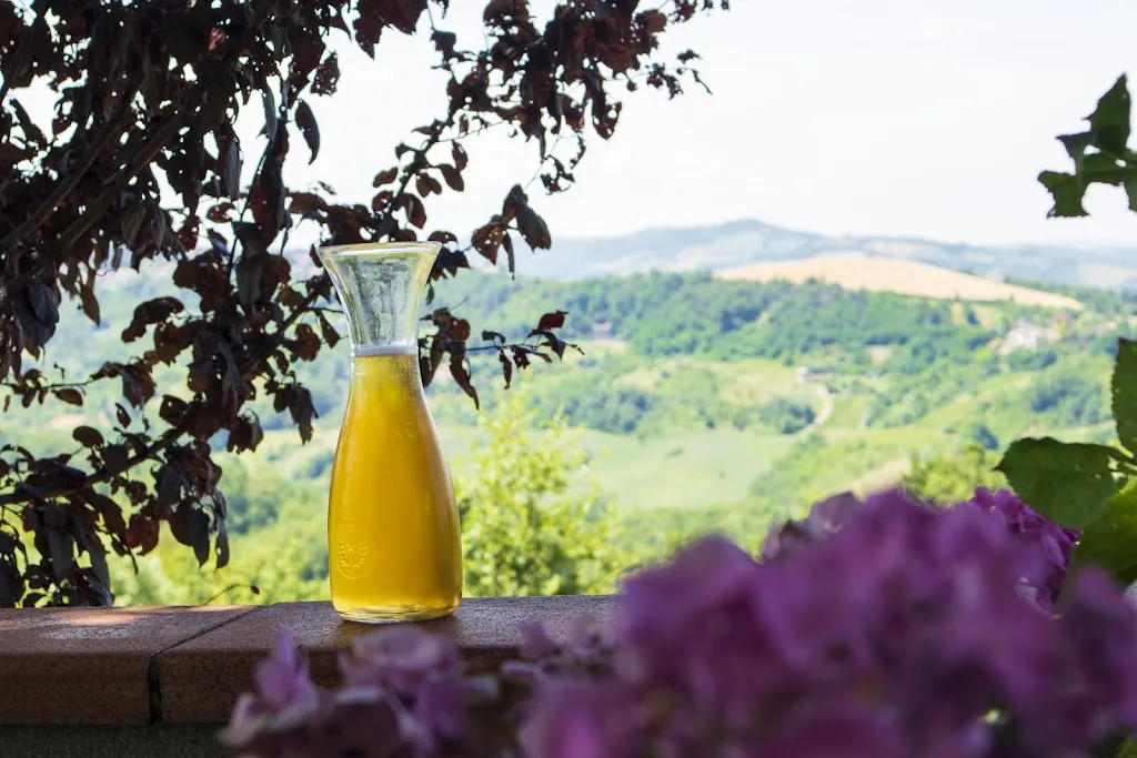 Sam White_Agriturismo Villa Baroni_Vernasca_review