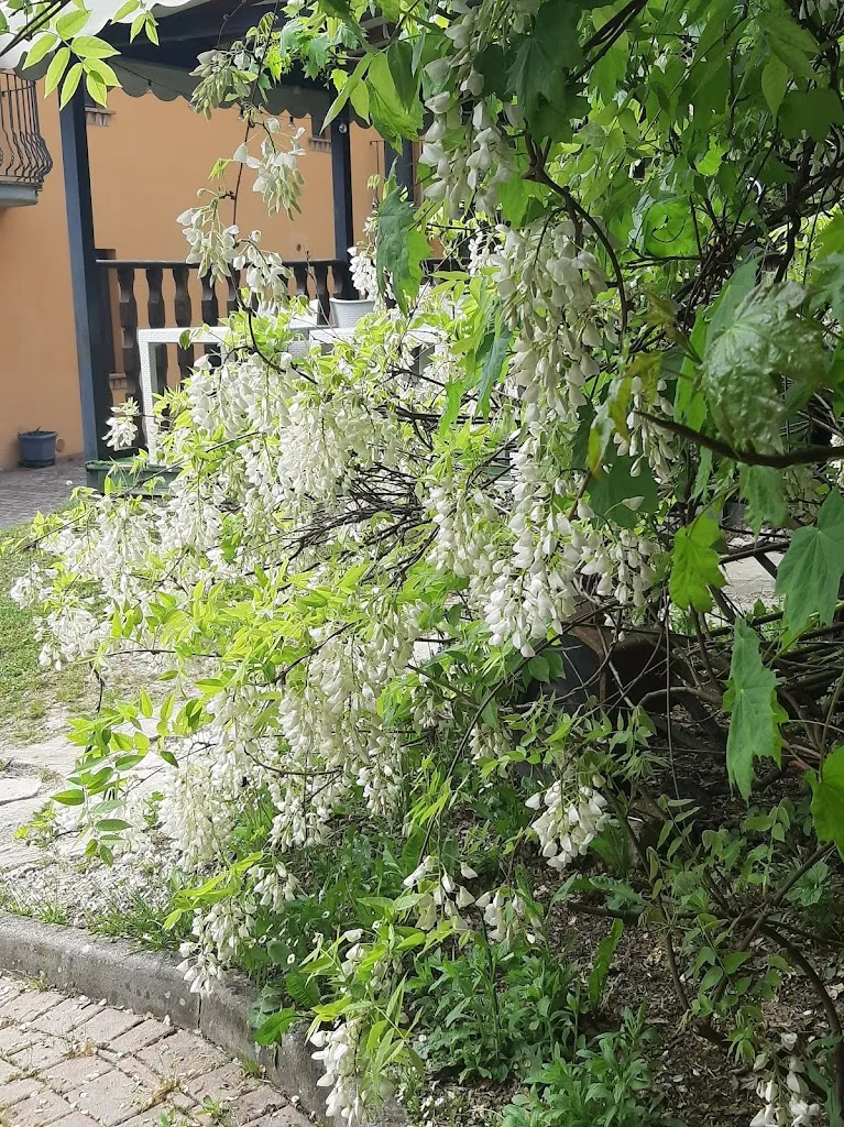 Antonio Amendola_Agriturismo la Fornace_Vernasca_recensione