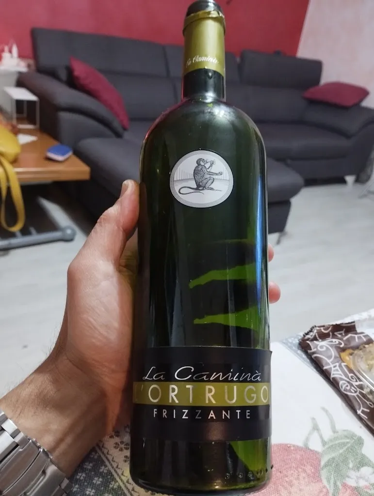 Giampietro Clarioni_Azienda Vitivinicola La Caminà_Vernasca_recensione