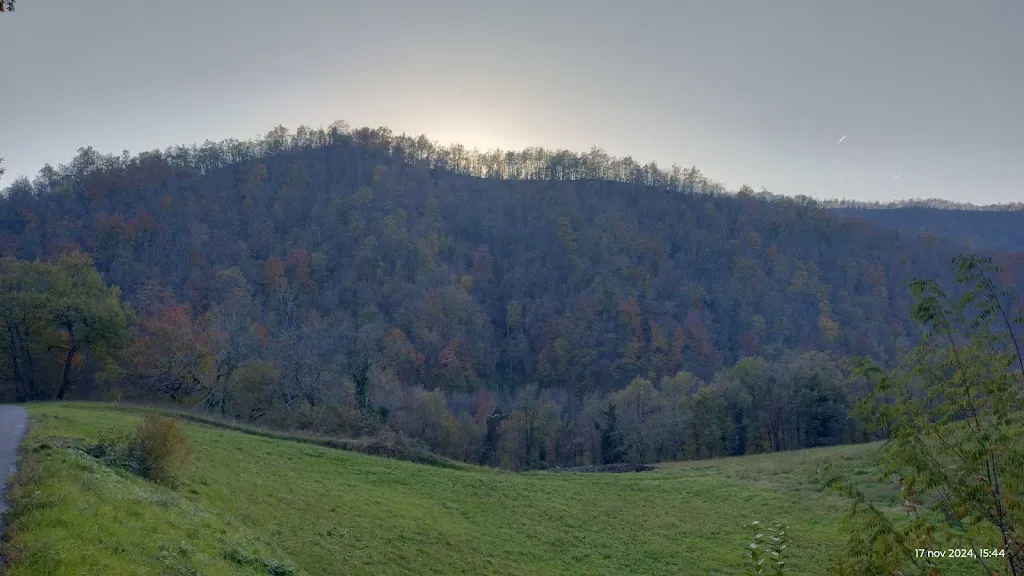 Maurizio Sassi_Trattoria Serena di Borghi Quinto_Vetto_review