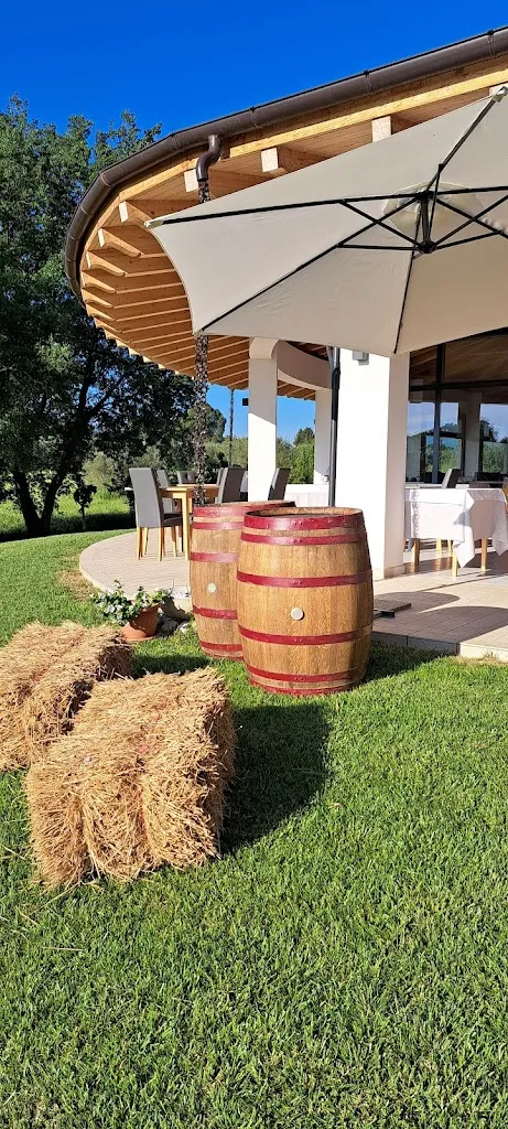 Barbara Rinaldi_Antico Uliveto_Rosciano_review