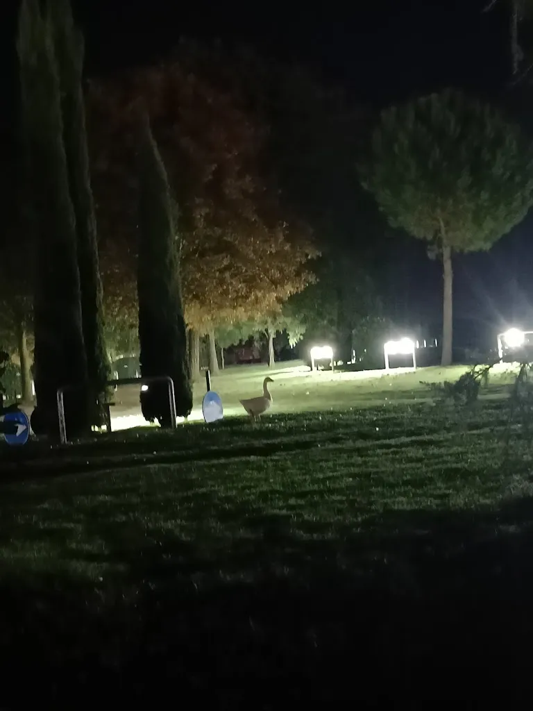 meenu maharana_Agriturismo la Sapienza_Voghiera_review