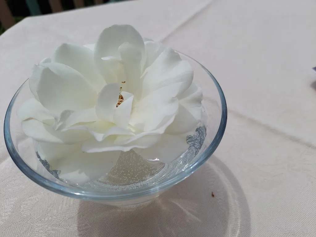 Menu_Albergo Ristorante Locanda Belvedere Pey_Zerba_immagine_4