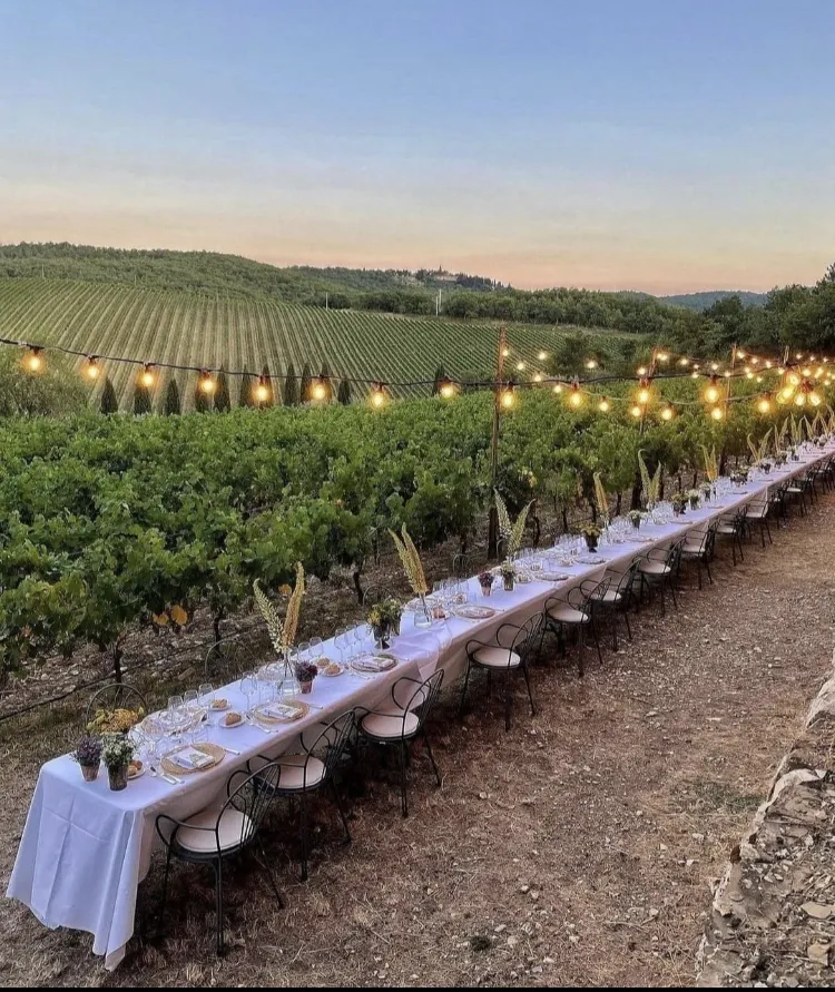 La Volpe E L'uva restaurant in Ziano Piacentino