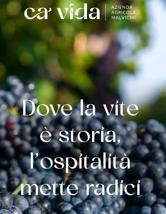 Agriturismo Ca' Vida_Ziano Piacentino_slider_image_3