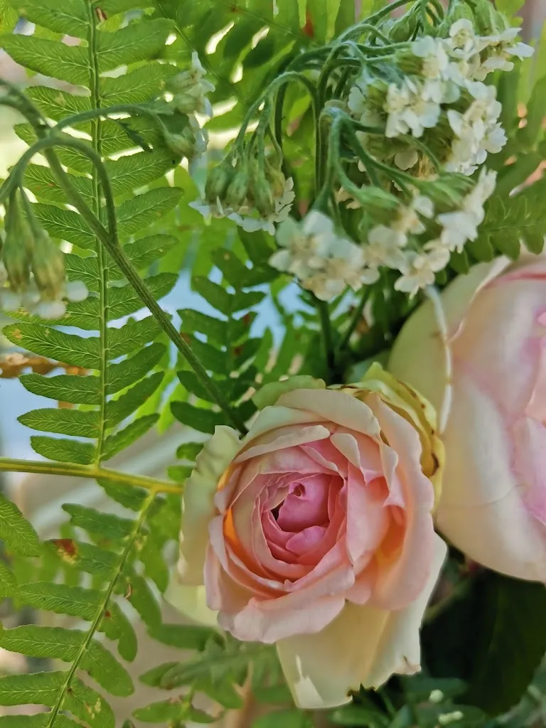 Alessandra Ceccoli_Home restaurant Il bosco incantato di Casa Remolino_Zocca_review