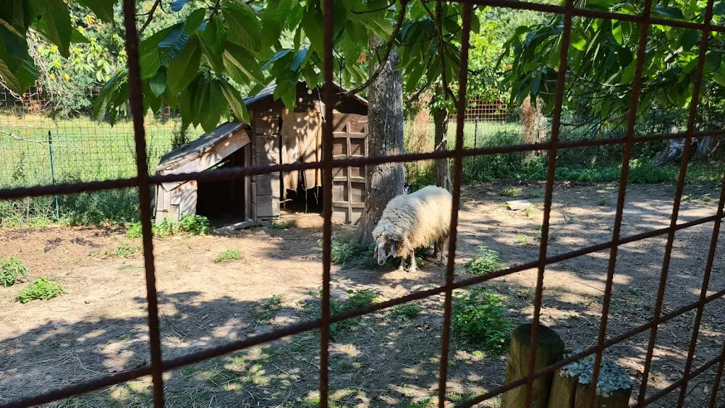 Home restaurant Il bosco incantato di Casa Remolino_Zocca_slider_image_2