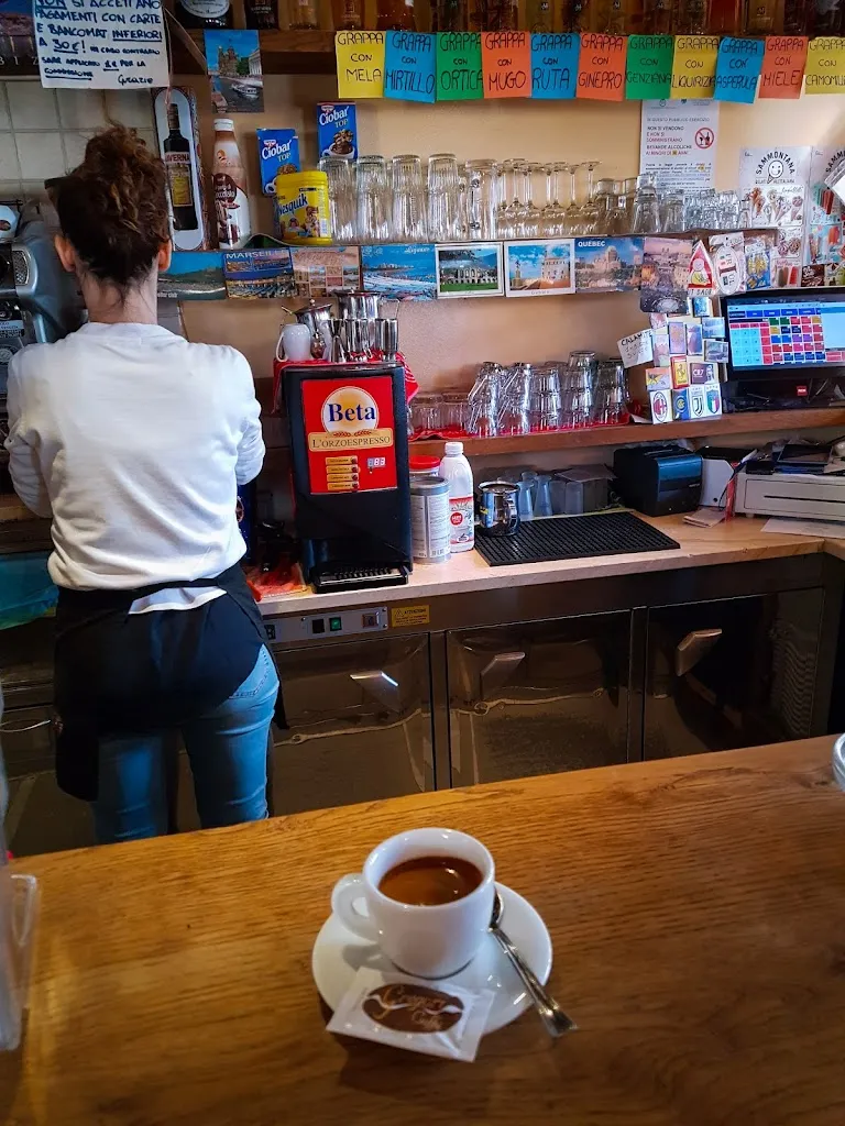 Marino Todesco_La Stella Alpina_Andreis_review