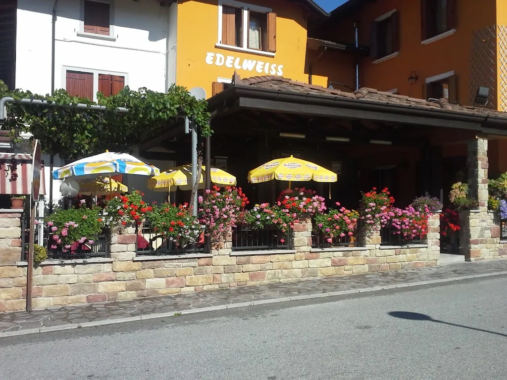 Bar Ristorante Edelweiss restaurant in Arta Terme