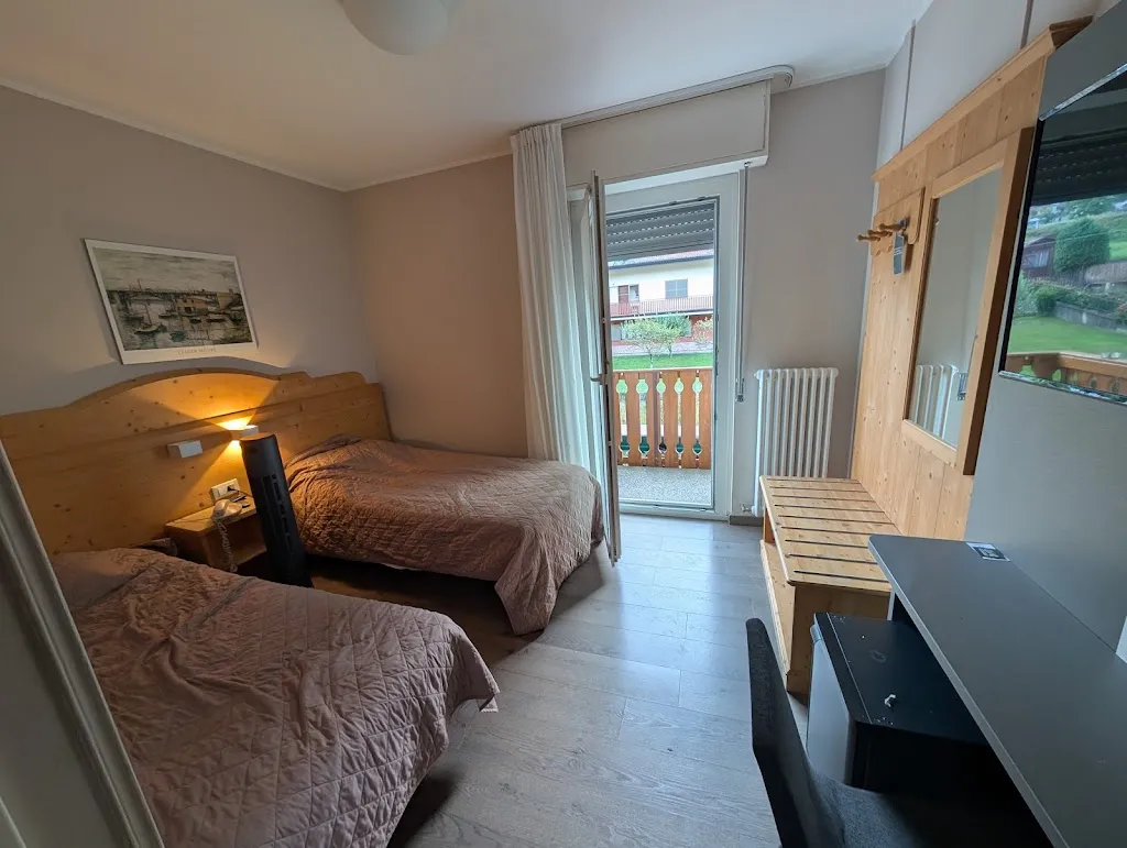 Moisa Mihai Lucian_Hotel Alla Fonte_Arta Terme_review