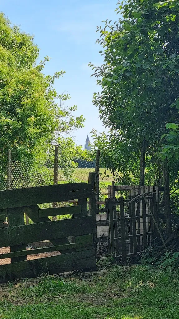 Alessandra Garofalo_Alla Frasca ristorante Aquileia_Aquileia_review