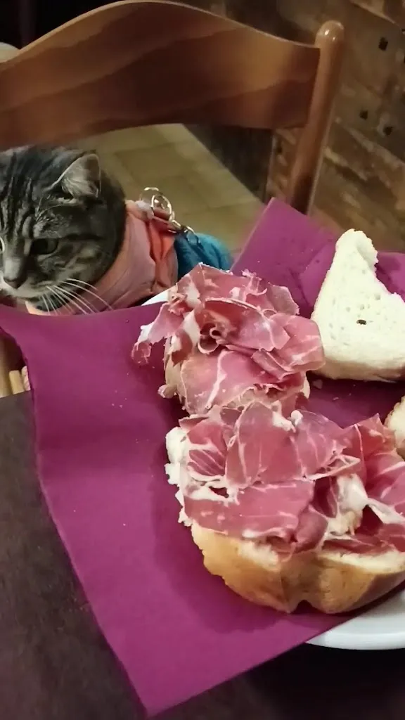 Gigia TravelCat_Al Morar_Aquileia_review