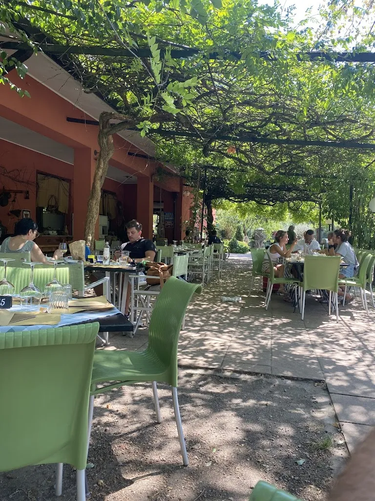 Allegra Fattoria_Aurisina_slider_image_3