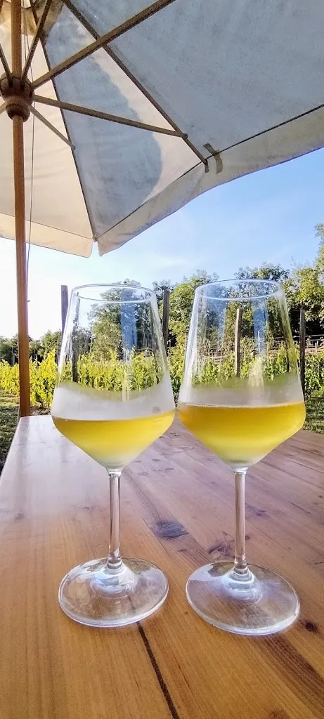 Menu_Osmiza Beljan di Kosuta Silvano_Aurisina_image_9