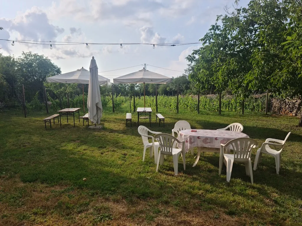 Josè Catalan_Osmiza Beljan di Kosuta Silvano_Aurisina_review