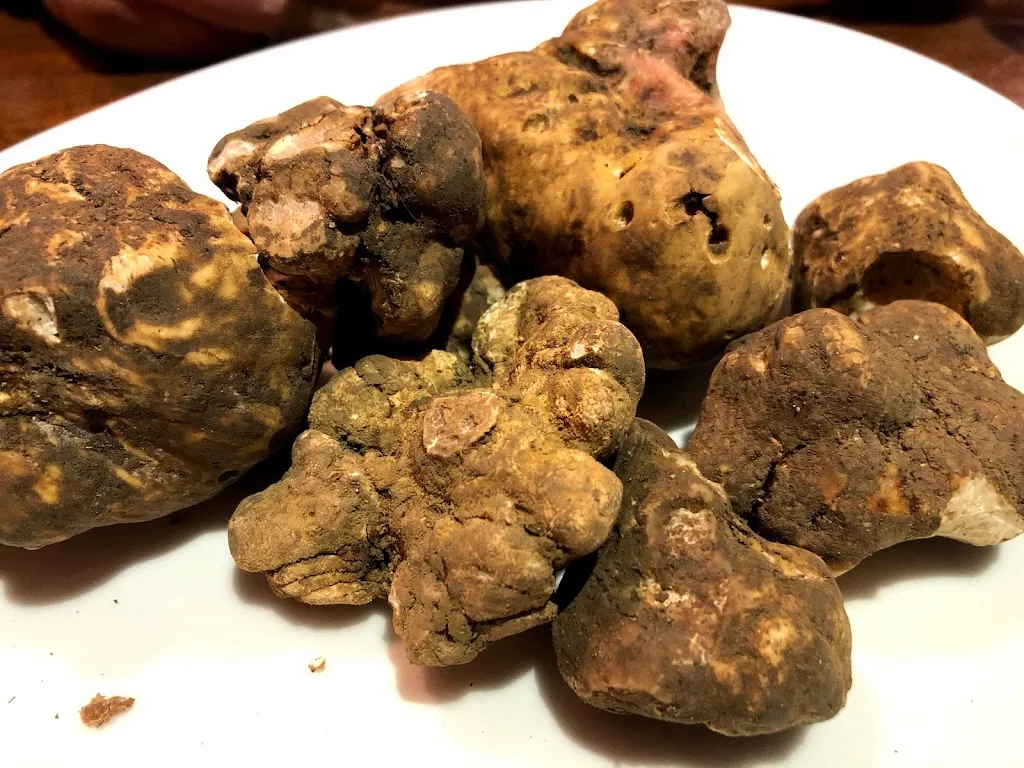 Il Rilketto_Aurisina_slider_image_3