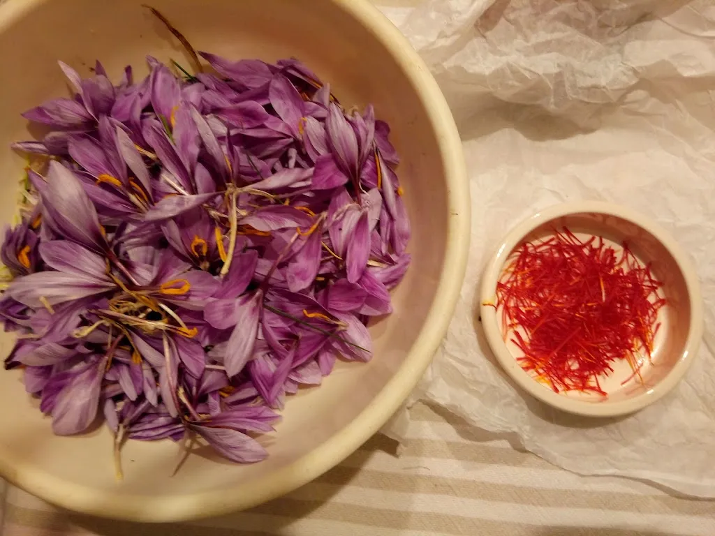 Menu_Bar 'Al Sole'_Azzano Decimo_image_4