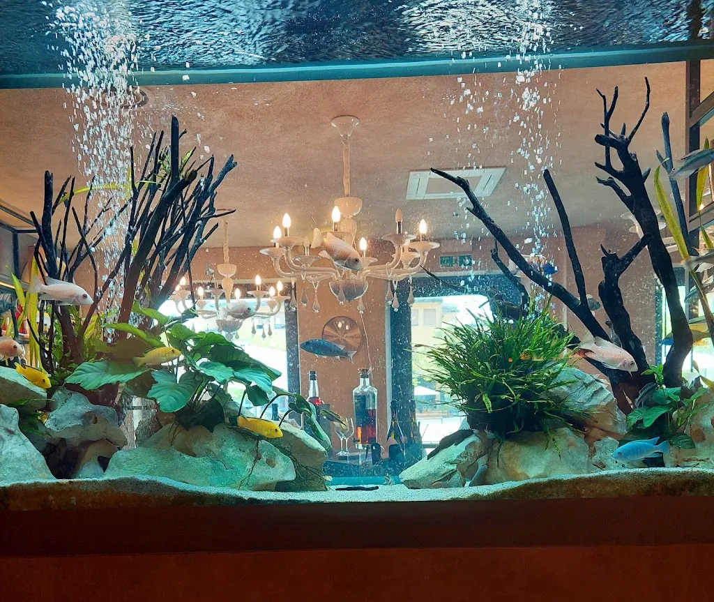 Nelvia Giacomin_Ristorante Mareinbocca_Azzano Decimo_review