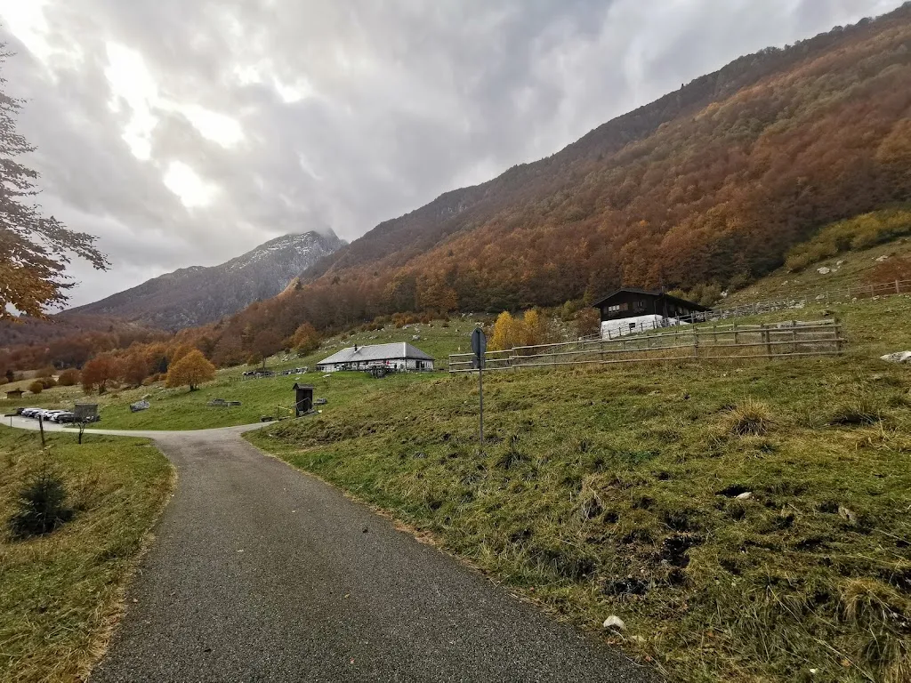 Vitto Ria_Malga Valli_Barcis_review