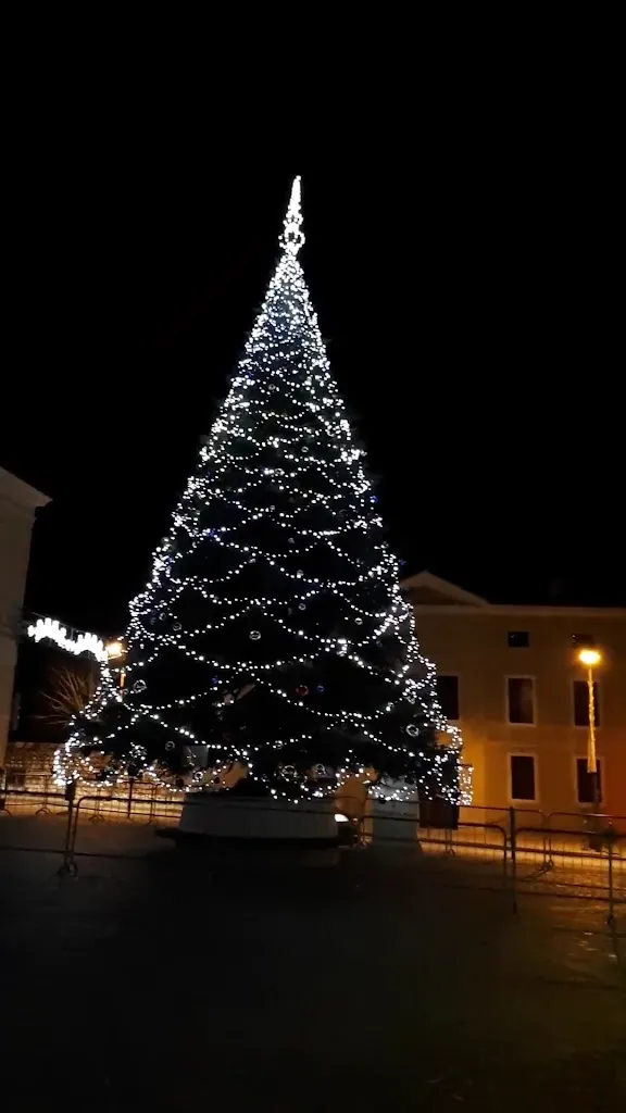 Caffe 'Gelateria Central Muin Maria Grazia_Aviano_slider_image_2