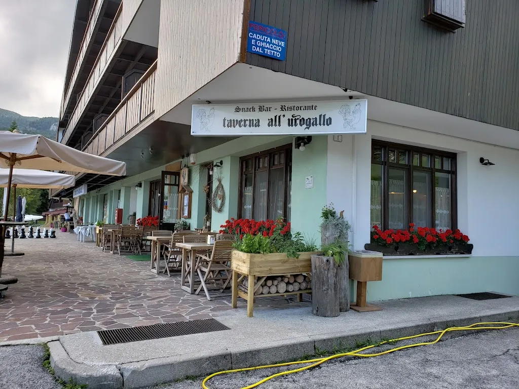 Taverna all'Urogallo restaurant in Aviano