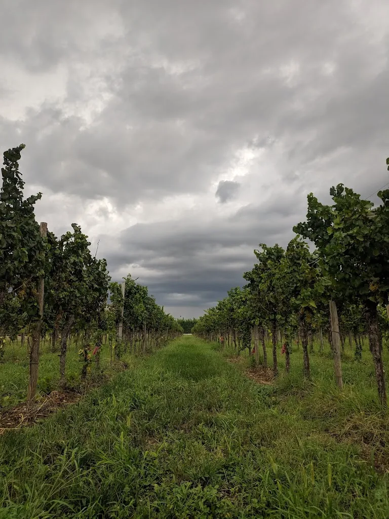 Dennis_Mulino delle Tolle_Bagnaria Arsa_review