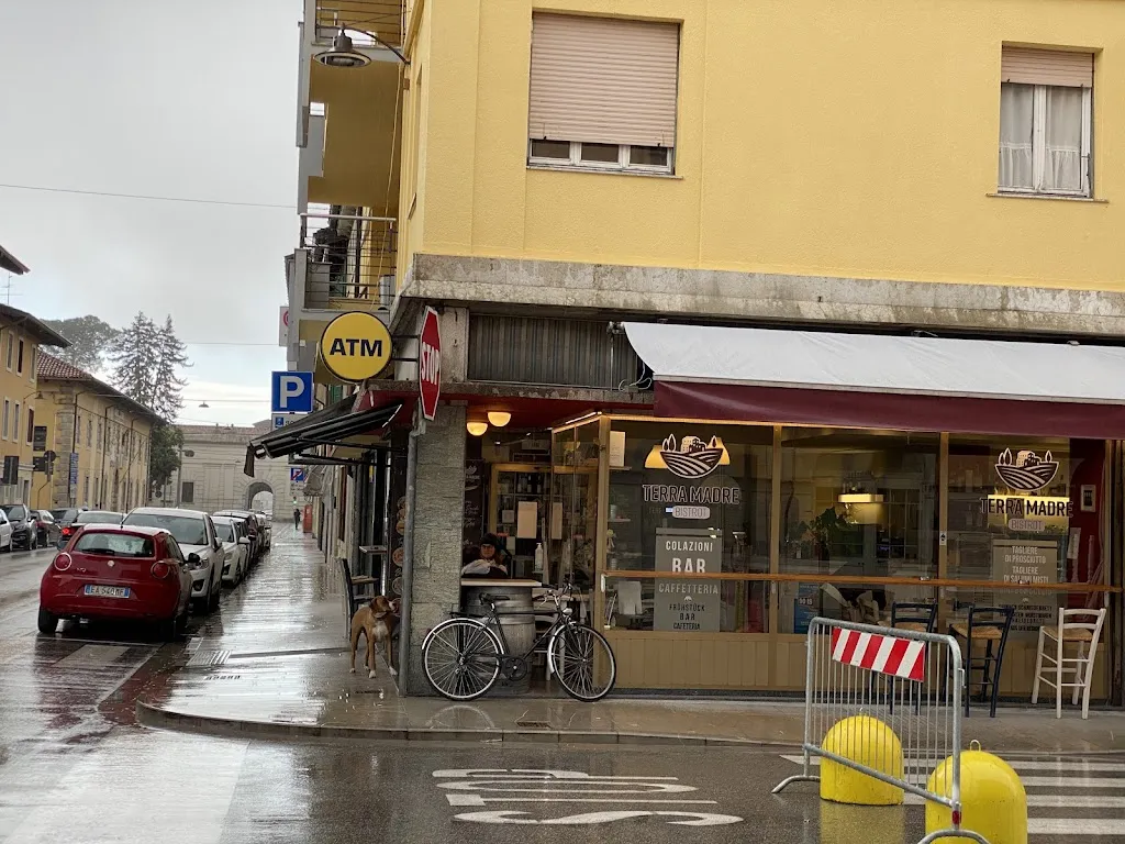 Filip Med_Terra madre_Bagnaria Arsa_review