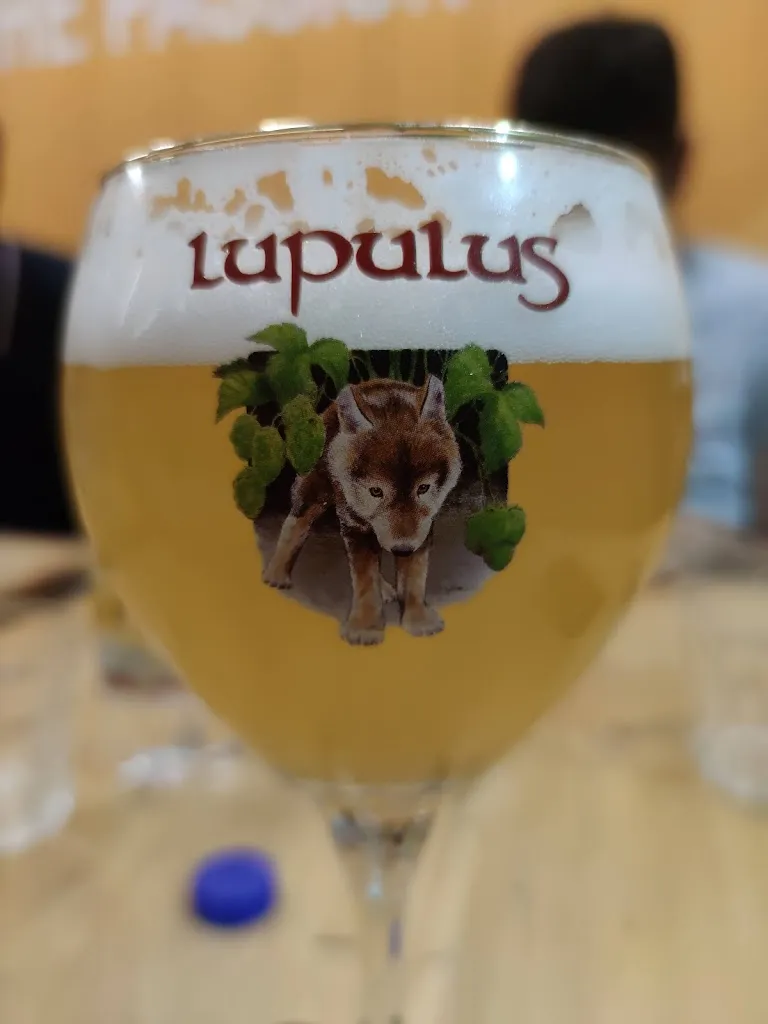 Mattia Tonon_Birra e Basta di Patricia Fremondiere..Palmanova_Bagnaria Arsa_review