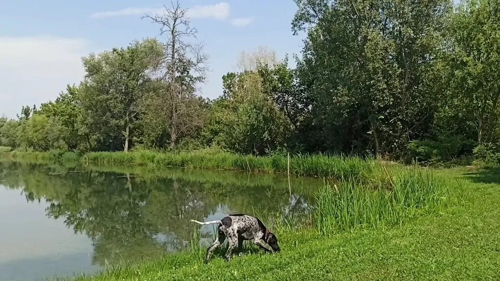 Ristorante Al Vecchio Mulino_Bagnaria Arsa_slider_image_2