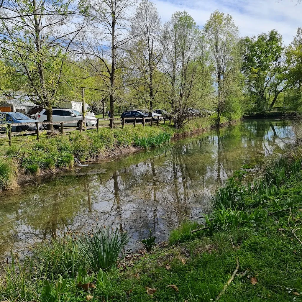 Trattoria Agristella_Bertiolo_slider_image_2