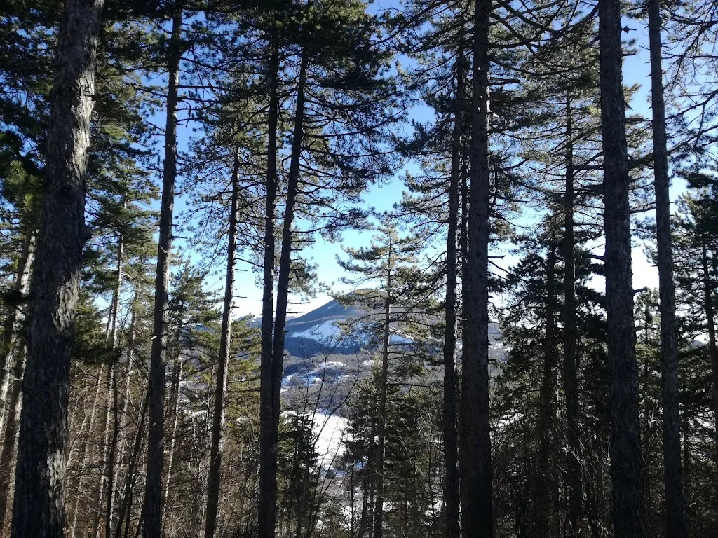 Laura Bush_La Capannina_Roccaraso_review