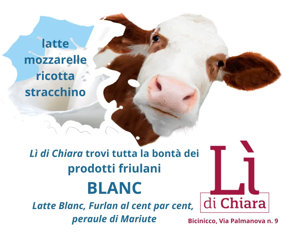 Menu_Lì di Stefy - Alimentari Gastronomia_Bicinicco_image_1