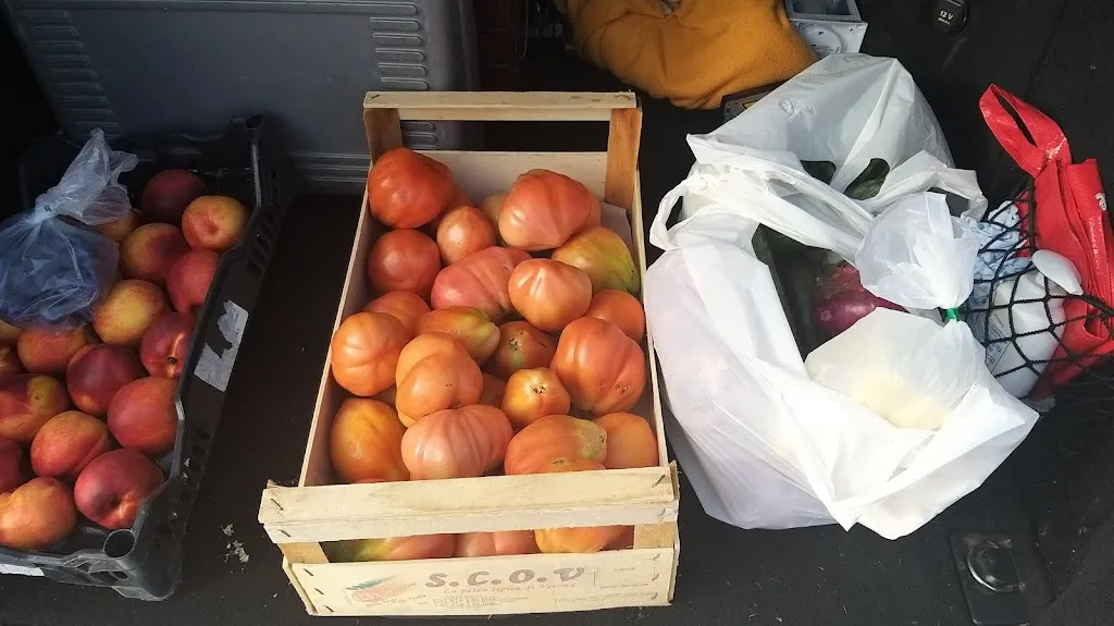 Evaristo Straulino_Az.Agricola Di Stocco Stocco Andrea E C. S.S._Bicinicco_review