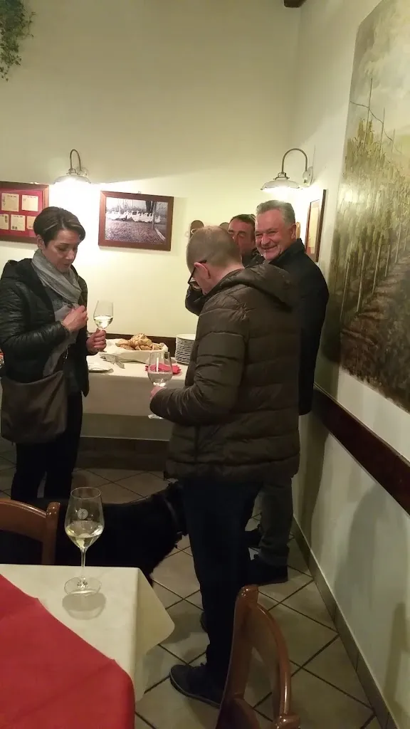 Az.Agricola Di Stocco Stocco Andrea E C. S.S._Bicinicco_slider_image_2