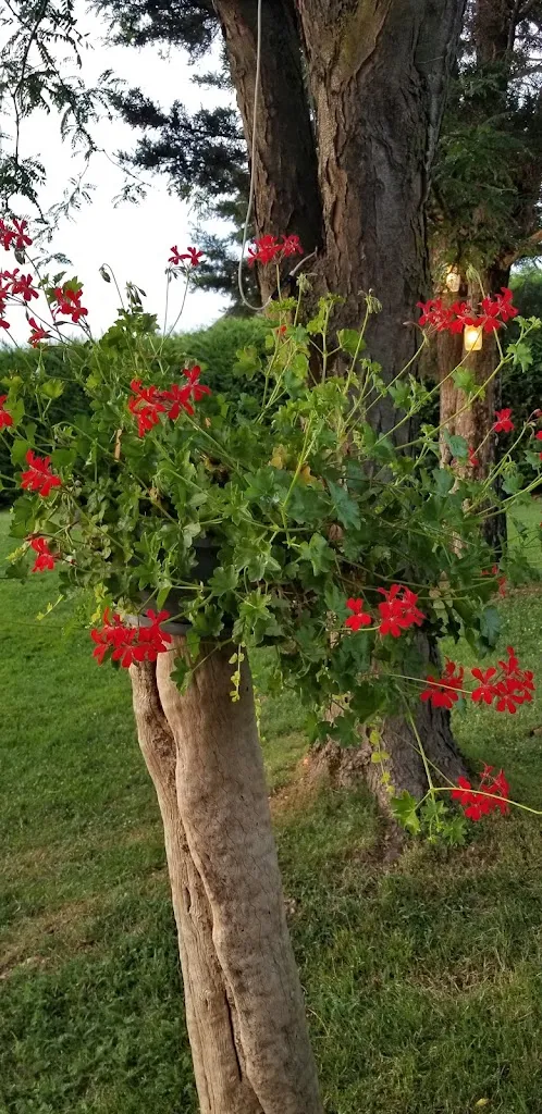 Lucia Liano_La Frittolina_Bicinicco_recensione