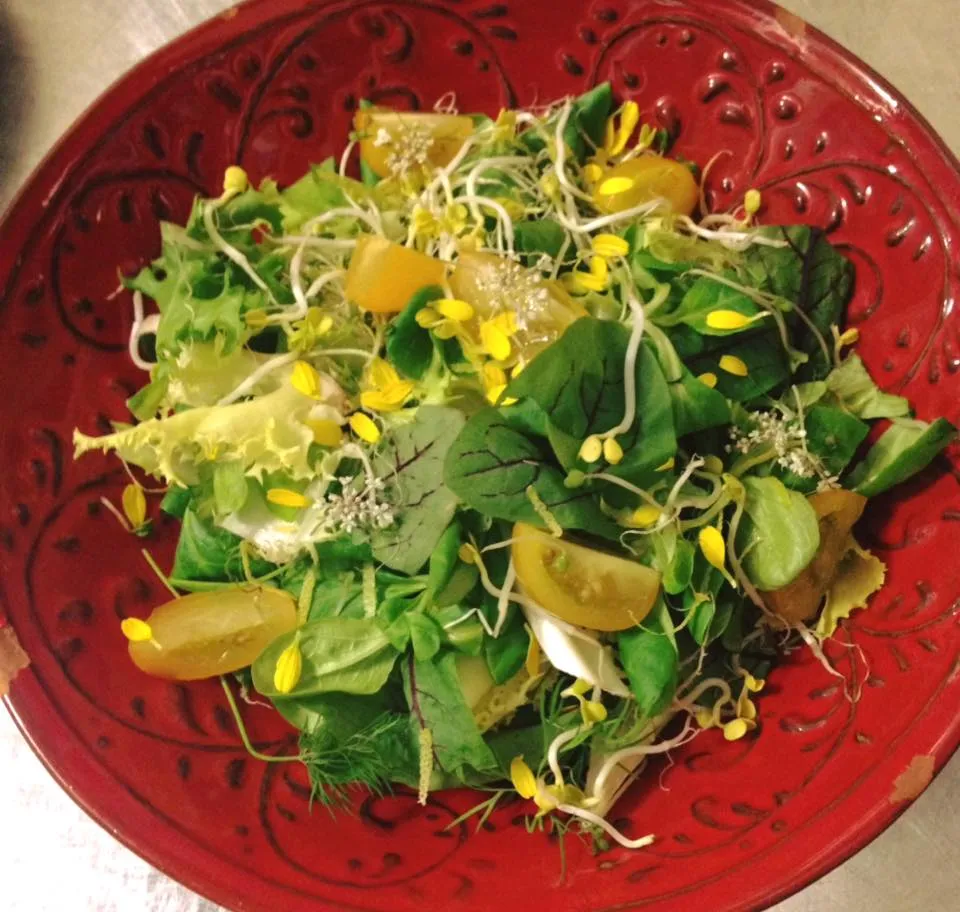 L'Osteria Della Zia Gabri_Bressa_slider_image_3