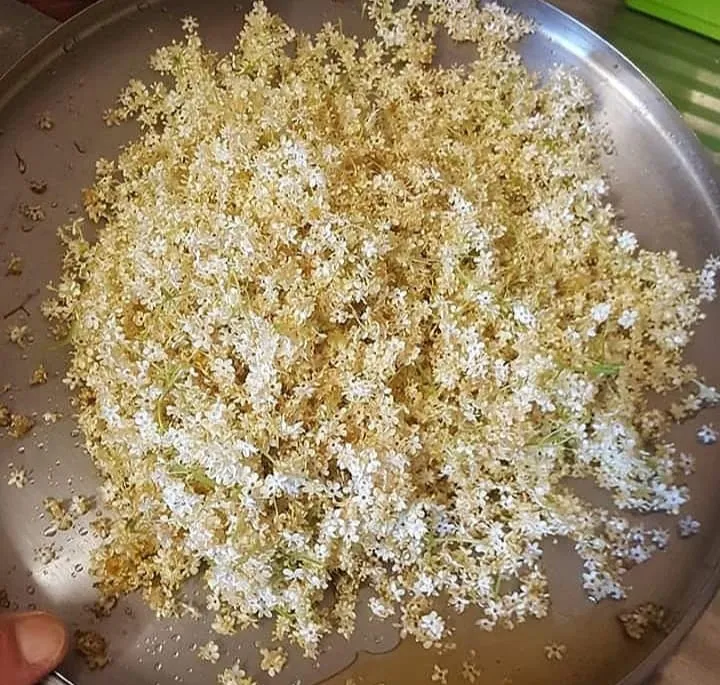 Menu_Osteria Miami di Baldassi Barbara_Buia_image_9