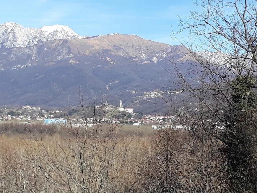 Rajiv Sanghavi_Belvedere Ristorante Pizzeria_Buia_review