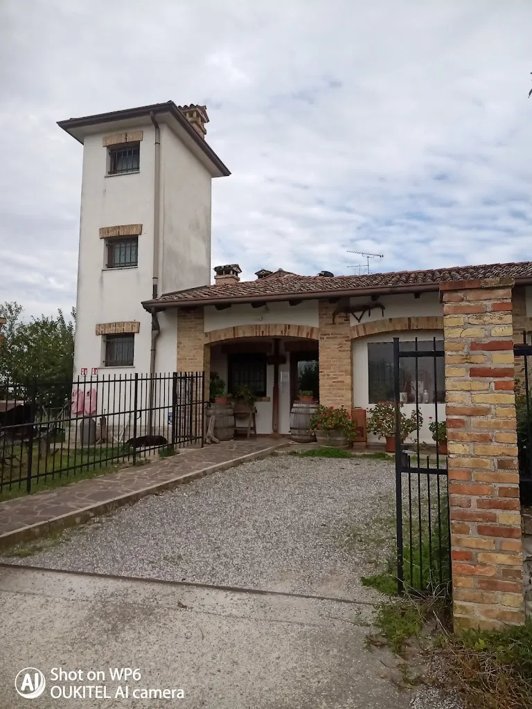 Daniele Antonutti_La Toretta_Campolongo al Torre_review