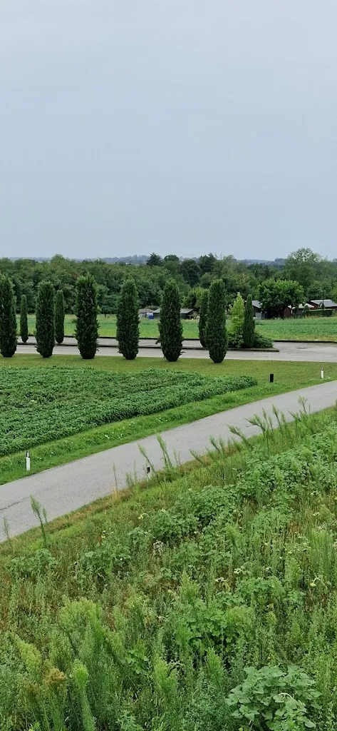 Pasha Simakovych_QuiWolf Udine_Cassacco_review