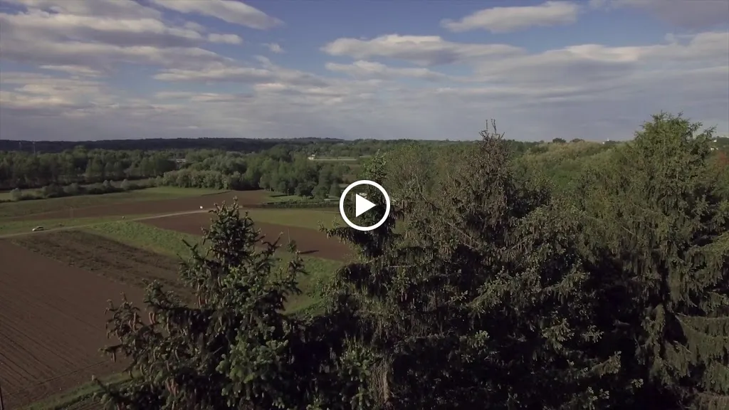 Mulino Ferrant Di Fant Paolo_Cassacco_slider_image_2