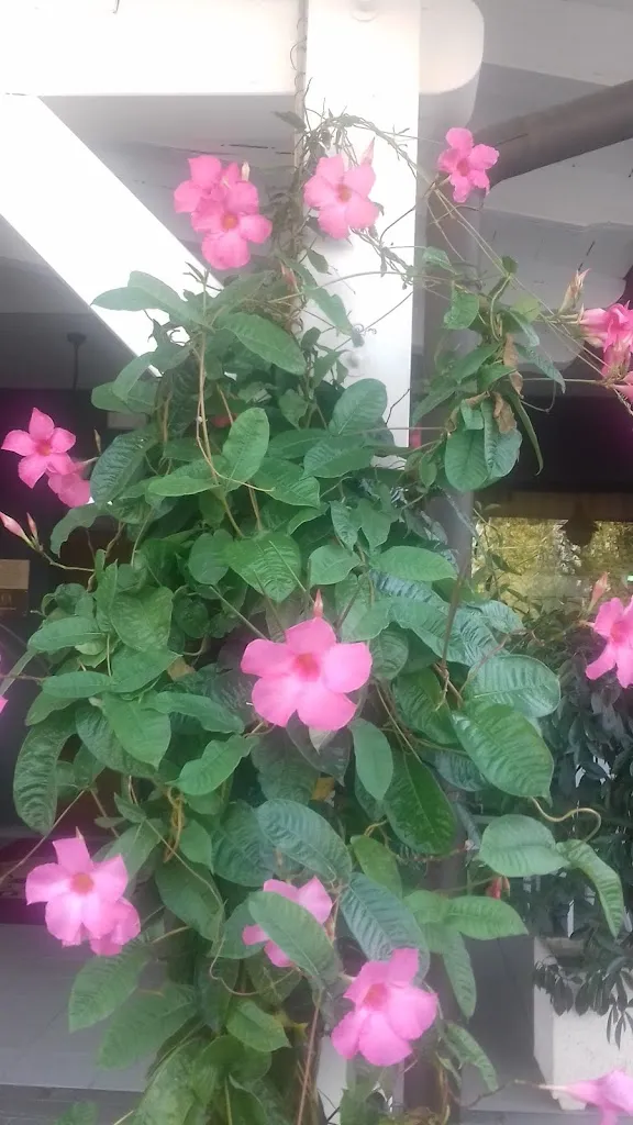 Oksana Onufryk/Tubaro_Hotel Ristorante Pizzeria da Luciano_Casarsa della Delizia_review