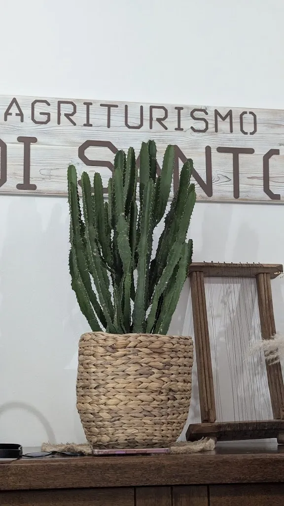 Renato_Agriturismo Di Santo_San Buono_review