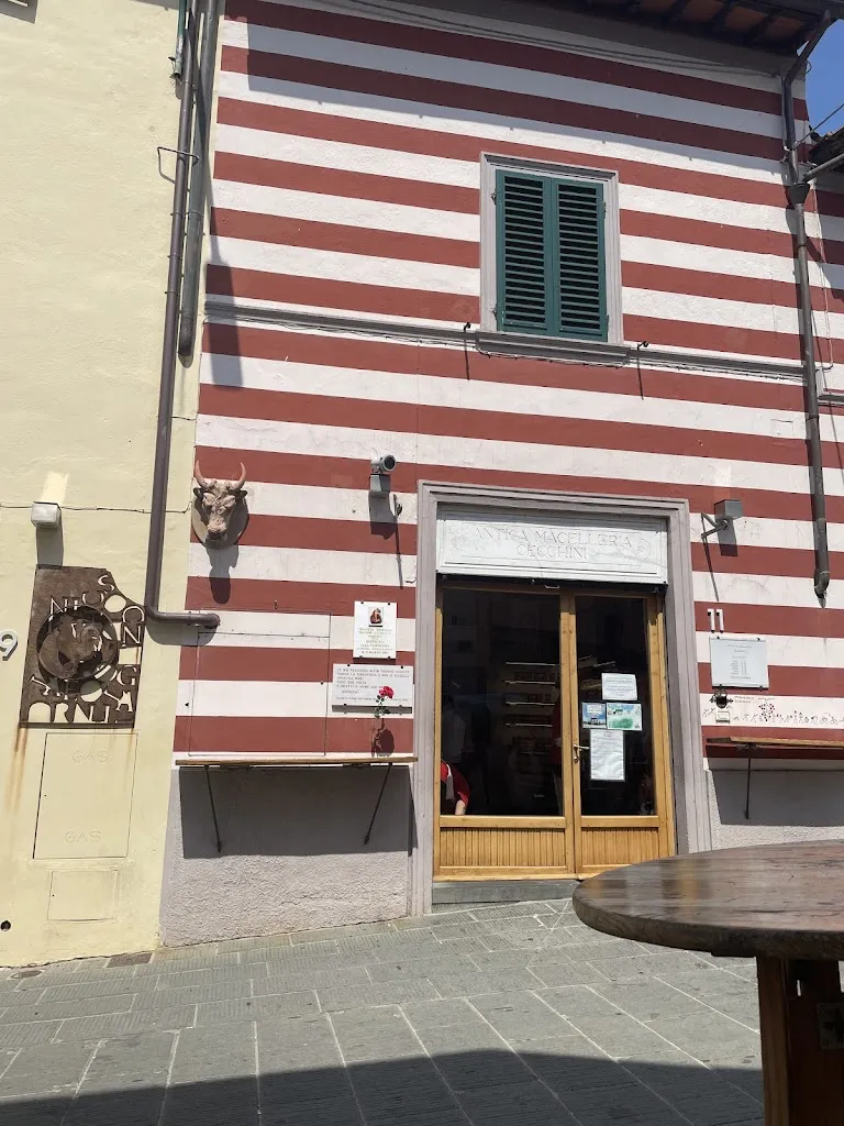 Natasha Georgiou_Solociccia_Cecchini_review