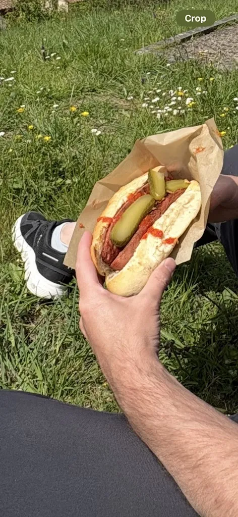 Juliana Bergstrom_Dario Cart Truck_Cecchini_review