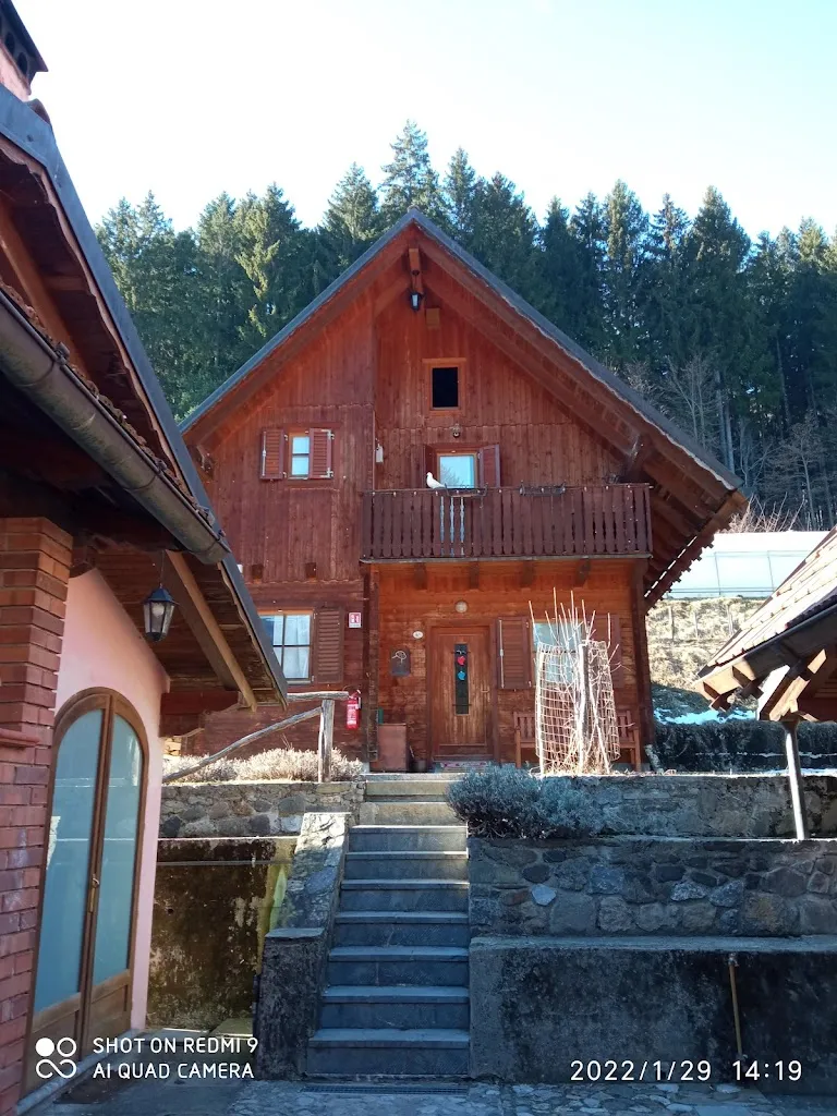 Agriturismo bosco di Museis_Cercivento_slider_image_2