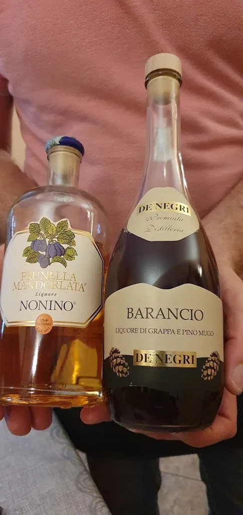 Daniela Nechutová_Albergo Dolomiti_Claut_review