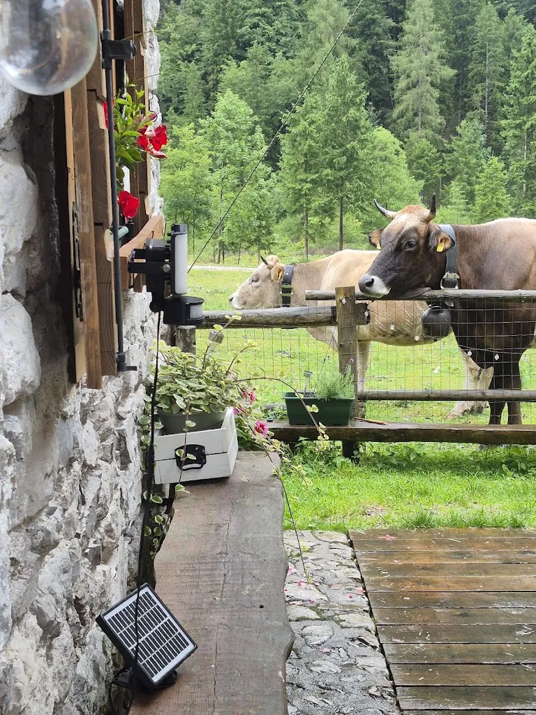 Sandro G._Casera Casavento_Claut_review