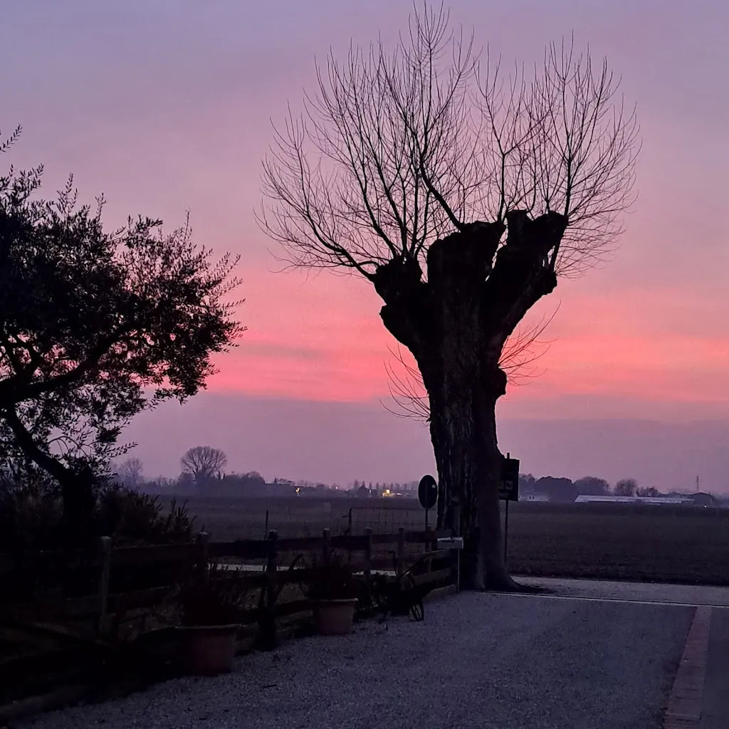 La Pioppa Agriturismo Sacile_Cavolano-Schiavoi_slider_image_3